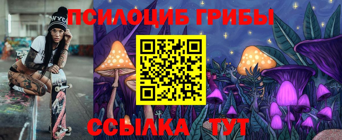 Псилоцибиновые грибы Cubensis  Вход с VPN  Михайловск 