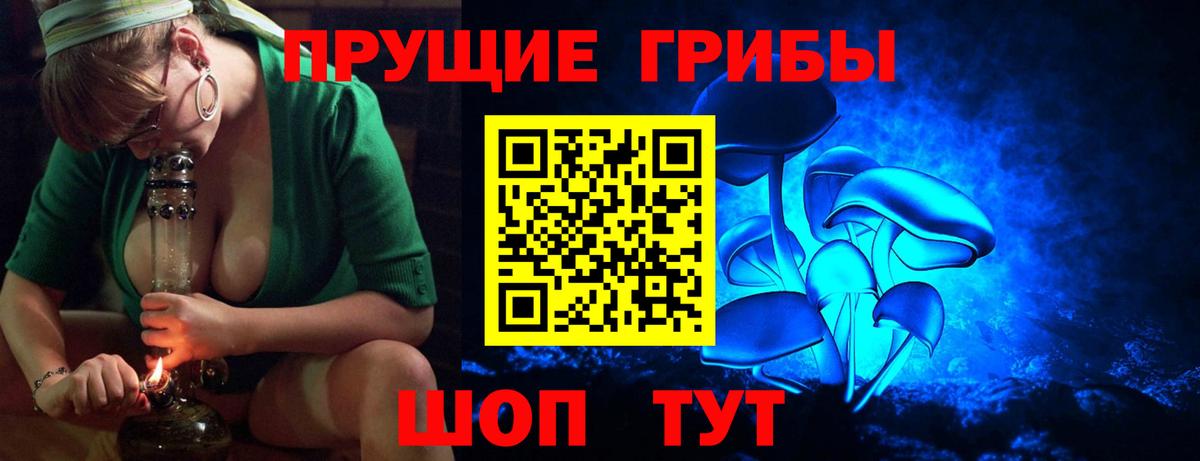 Псилоцибиновые грибы Psilocybe Михайловск
