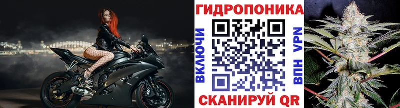 Бошки Шишки AK-47  Михайловск 